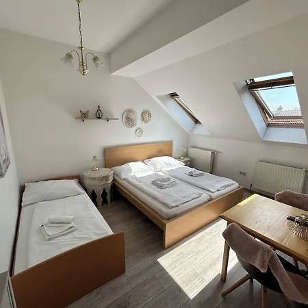 Pension Lizzi